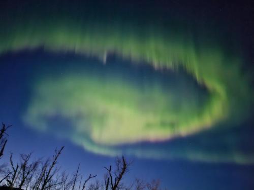 Flakstad Apartment | Apartment at Lofoten. Mølnarodden.