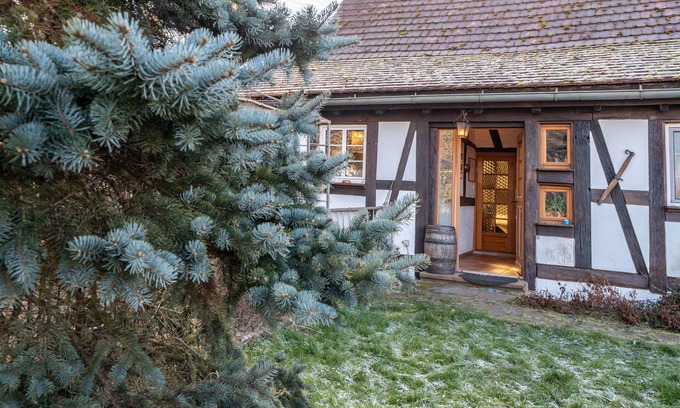 Betschdorf Apartment | Apartment 'Fleurie' with Shared Terrace, Shared Garden and Wi-Fi