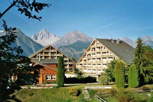 Unterbaech Apartment | Apartment Haus Nesthorn - 2 Gäste