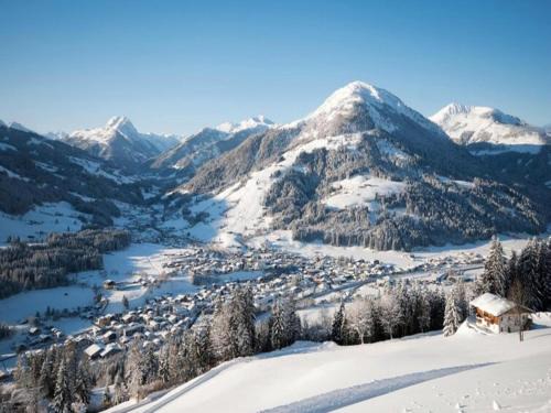 Kitzbuehel Apartment | Apartment in Kirchberg near Ski Lift