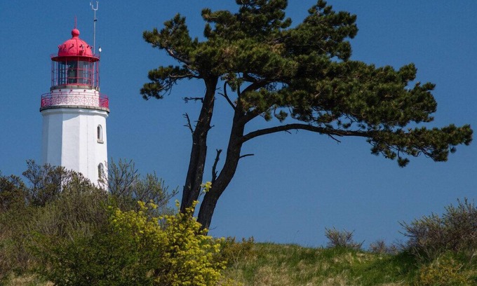 Vitte Apartment | Apartment near the beach, 3 bedrooms, sauna, 2 bathrooms, approx. 130 m², free W-Lan