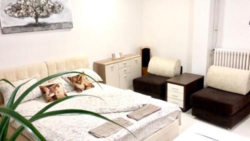 Pancevo Apartment | Apartment on a river avenue