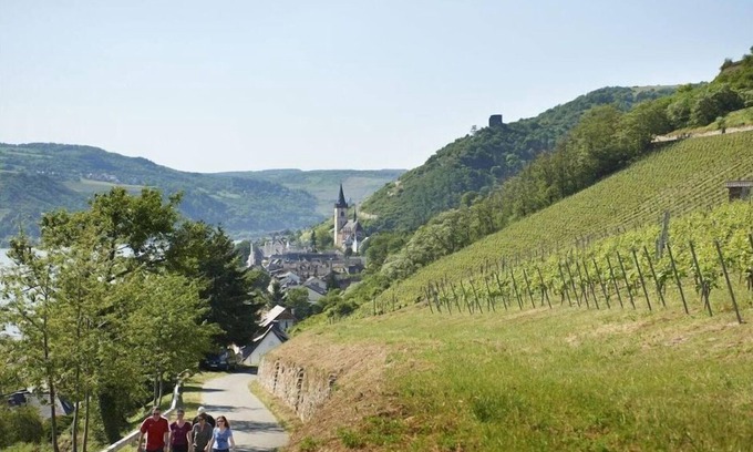 Mainz-Bingen Apartment | Apartment Pinot Noir