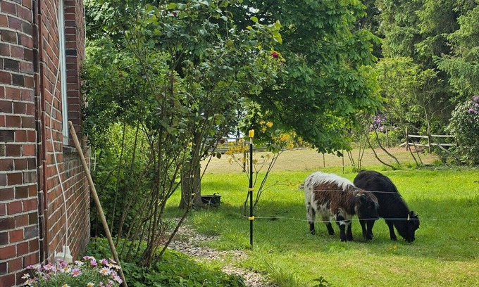 Wiesmoor Apartment | Apartment 'Wiesmoor - Ranch' with Private Terrace, Shared Garden and Wi-Fi