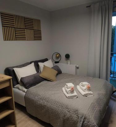 Nowe Miasto Apartment | Apartments Poznań City LOFT