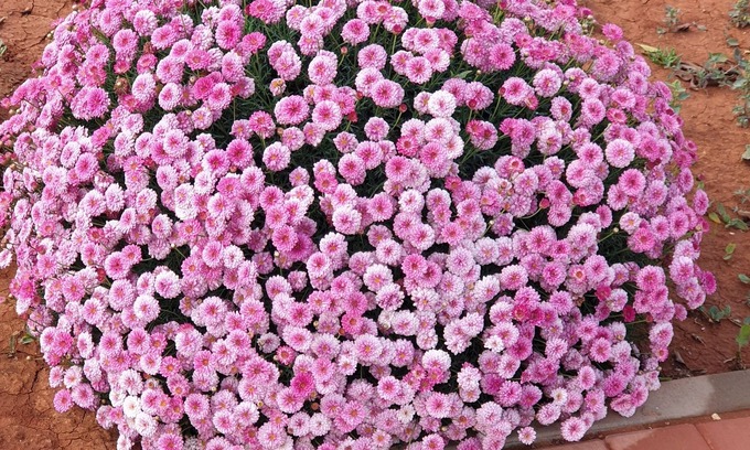 Marina Apartment | Appart 3 Façades Bien Situé Dans une Résidence Calme Bien Entretenu à la Marina