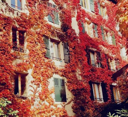Plainpalais Apartment | Appart'Hôtel Residence Dizerens