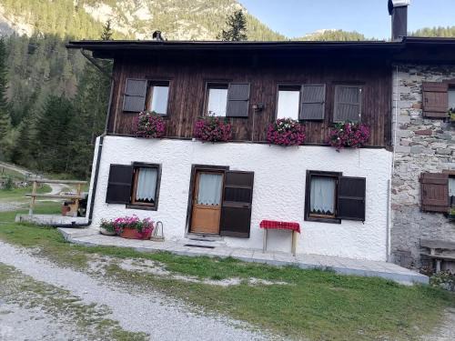 Santo Stefano di Cadore Apartment | Appartamento Val Visdente 1