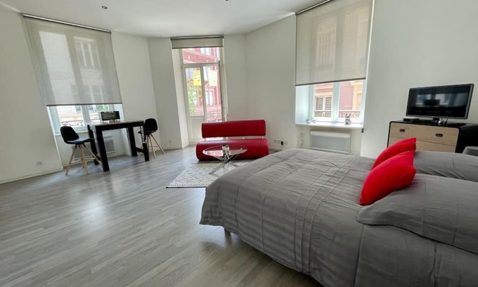Mulhouse Apartment | Appartement A MULHOUSE en pleine zone piétonne