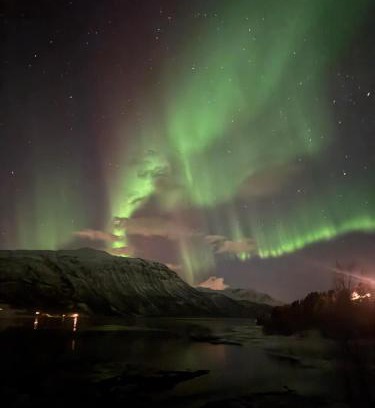 Laukeng Apartment | Arctic Sealodge Malangen cabin 4 Sæterbergan