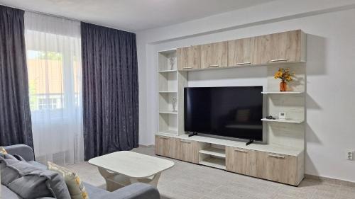 Curtea De Arges Apartment | Argeş Central
