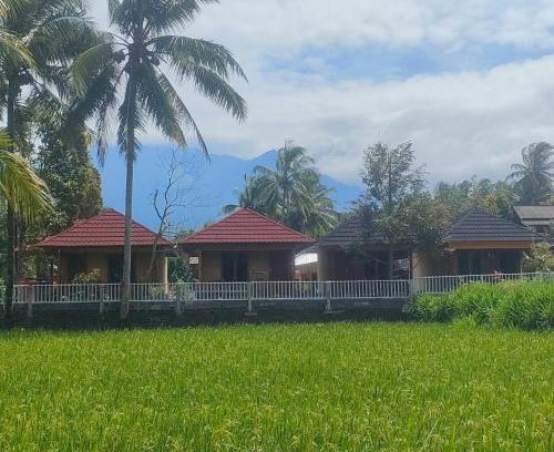 Kecamatan Montong Gading House | Arif Bungalows Lombok