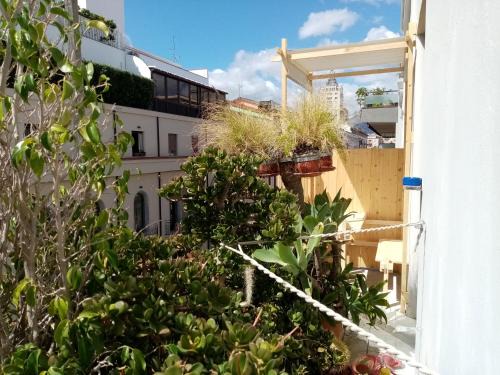 Ruggero Settimo Hotel | Ariston Petit Hotel