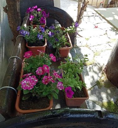 Triacastela Apartment | As Irmas