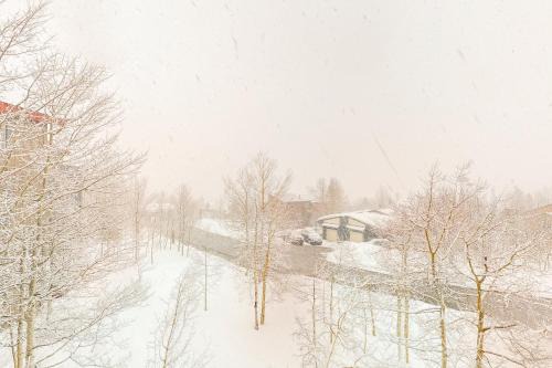 Wildernest Apartment | Aspen Shadows Condo