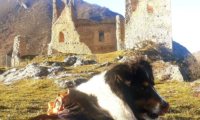 Tarascon-sur-Ariege House | AU Pied DU Chateau Miglos