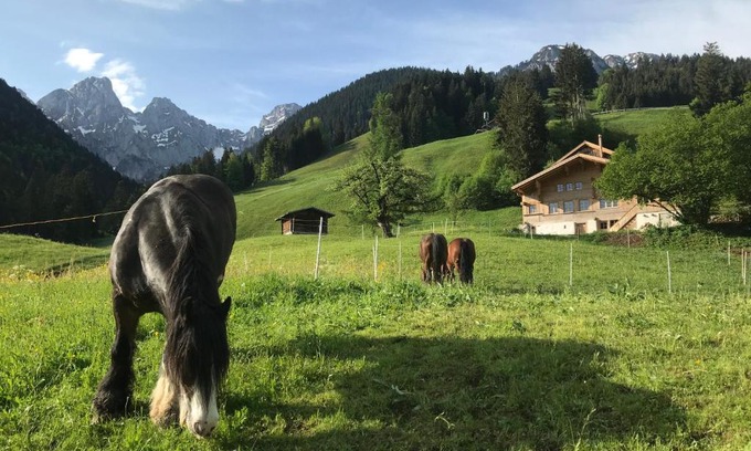 Chateau-d'Oex Bed & Breakfast | Au Pré des Chevaux