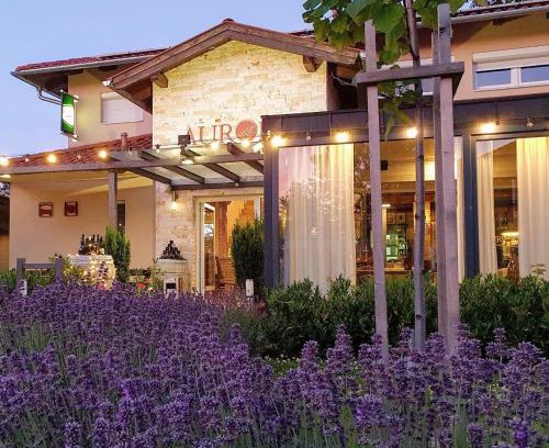 Bukfurdo Bed & Breakfast | Aurora Panzió