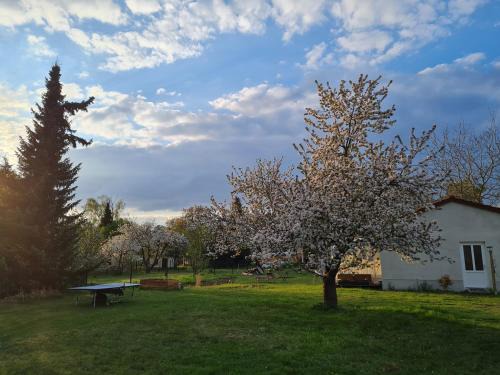 Muncheberg House | Auszeit in Märkische Schweiz