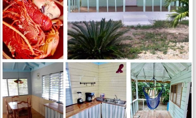 Little Bay Cottage | Authentic Jamaican Vibe Fruit Tree Beach, Little Bay Jamaica