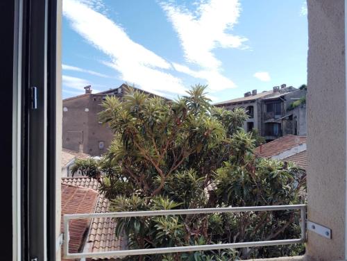 Avignon City Centre Apartment | Avignon intra-muros clim grand studio