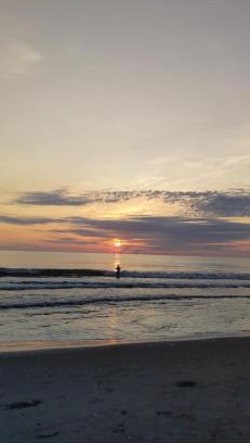 Barra de Pacuare Hotel | Avistamiento Fauna Flora Caribe