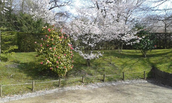 Kortessem Bed & Breakfast | B&B Appelkers II