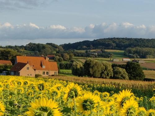 De Klijte Bed & Breakfast | B&B De Zavelaar