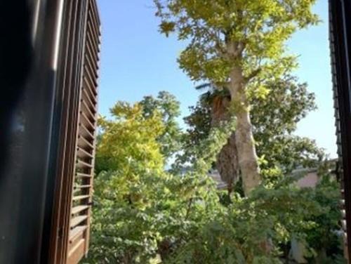 Benevento House | B&B DUOMO