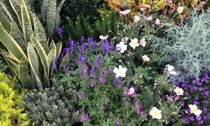 Savena Bed & Breakfast | B&B Il Picchio