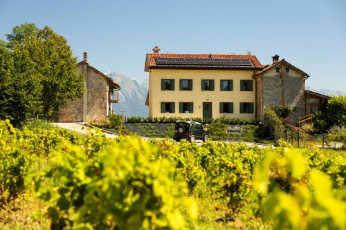 Belluno Bed & Breakfast | B&B Le Zucche