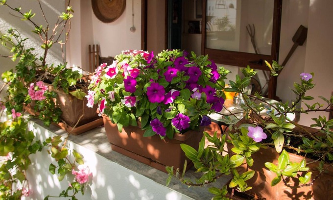 San Vito Bed & Breakfast | B&B Martina