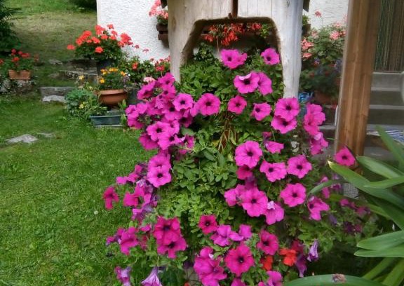 Telve Bed & Breakfast | B&B PRA' DEI CERVI