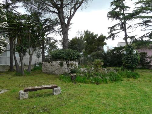 Bisceglie Bed & Breakfast | B&B Villa Garden