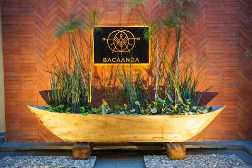 Ruta Independencia House | Bacaanda #2