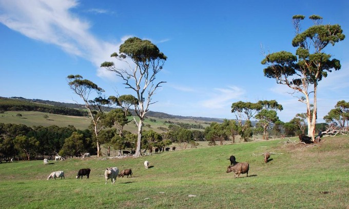 Back Valley House | Back Valley Farmstay Bed and Breakfast