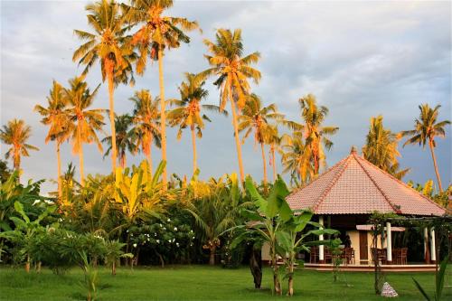 Pemuteran Resort | Bali Oase Resort