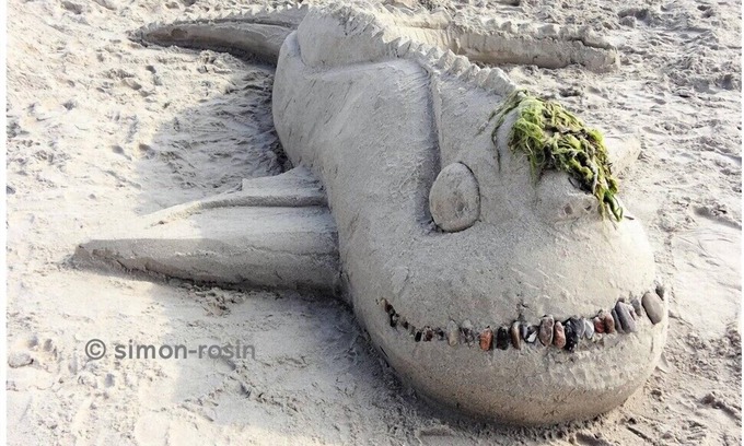 Ribnitz-Damgarten Apartment | Baltic Sea wind at the edge of the forest