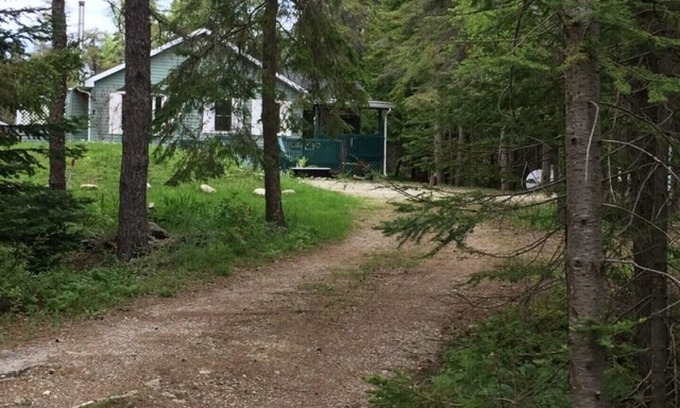 Northern Bruce Peninsula Cabin | 'Bambi Cottage'-Tobermory -hidden gem, very private house with salt swimming pool.