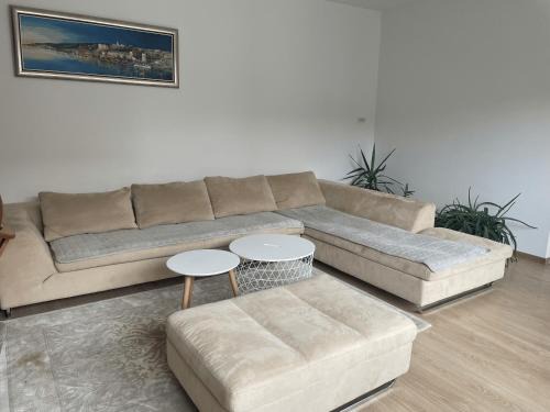 Pancevo House | Banatska Oaza