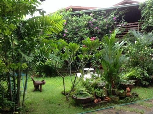 Nan House | Banban Nannan Library and Guesthome