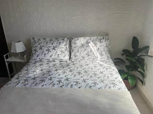 Centro Bed & Breakfast | Bandeira do Brasil