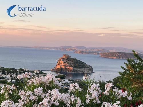 Ischia Porto Bed & Breakfast | barracudasuite