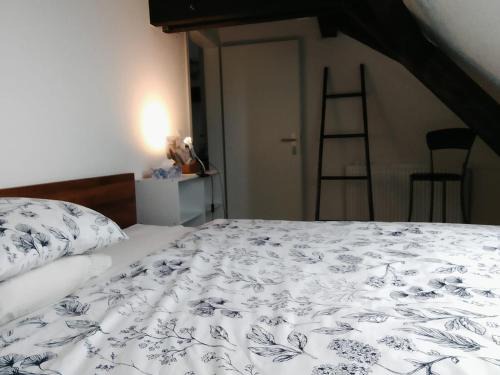 Binningen House | Basel Rühige Zimmer mit grösse Doppelbett