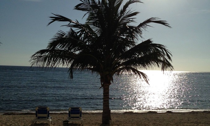 Colliers Bay Condo | Beachfront 1st Floor Condo - Step off your patio and into paradise!