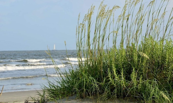 Cocoa Beach Condo | Beachfront Condo in Cocoa Beach