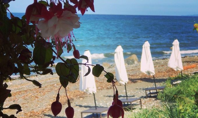 Regional District of Nanaimo Resort | Beachfront Honeymoon suite jacuzzi, fireplace, Bbq, Hot tub,oyster/clams,kayaks