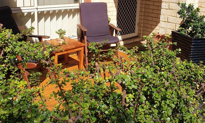 Rockingham Villa | Beachside Retreat Rockingham