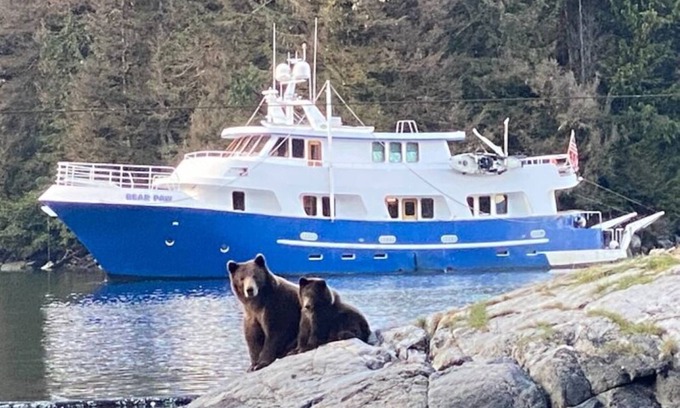 Sitka Boat Rental | Bear Paw Yacht Your All-Inclusive Charter Boat to Explore Sitka Waters
