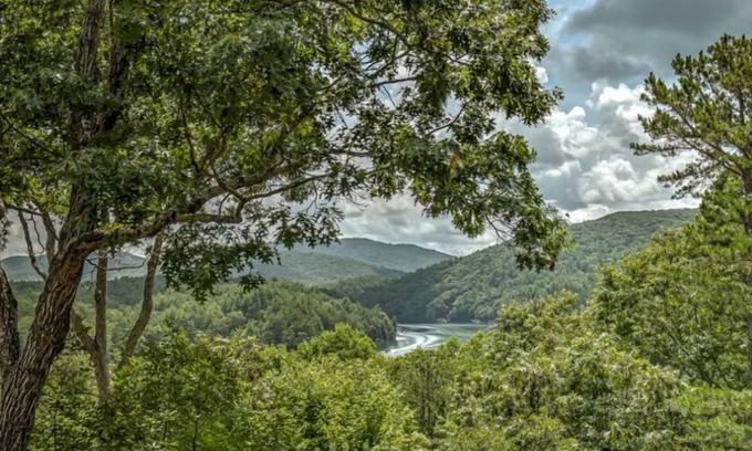 Necowa Cove Cabin | Bearway To Heaven